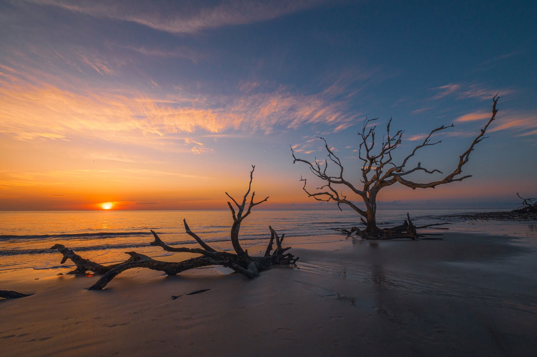 Two large driftwood trees on the sandy beach in front of a setting sun sky.
